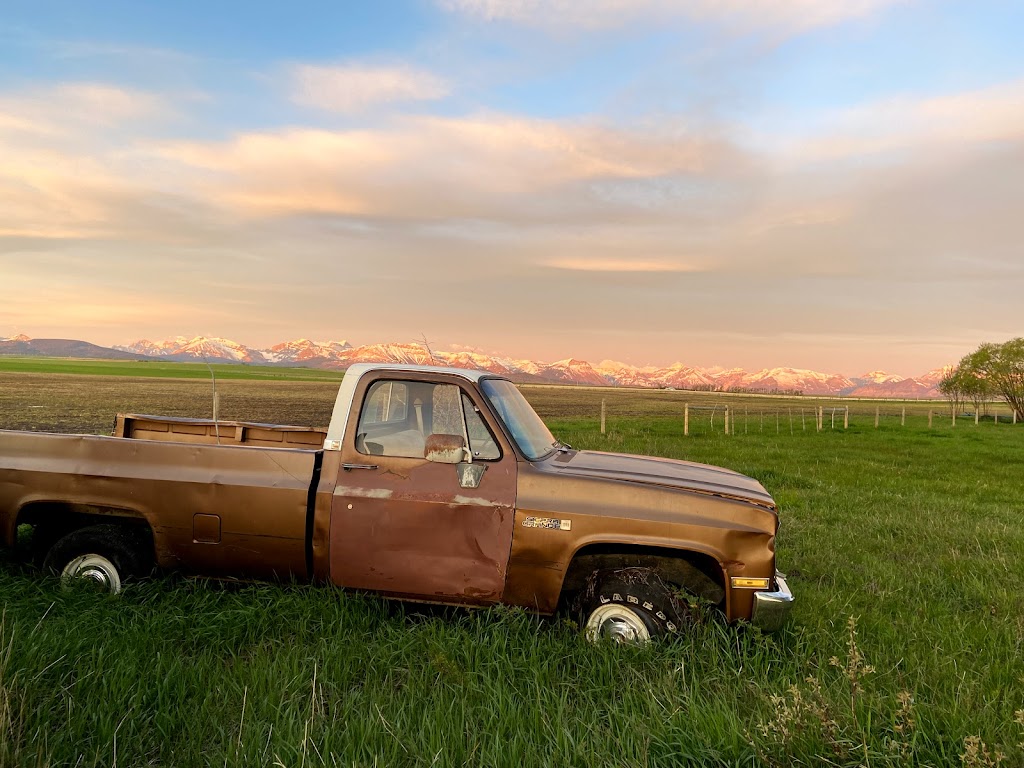 Reverse R Ranch | Township Rd 31, Mountain View, AB T0K 1N0, Canada | Phone: (403) 380-7800