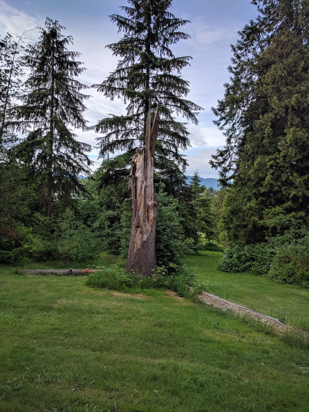 Queens Park | 3rd Ave, New Westminster, BC V3M 1V2, Canada | Phone: (604) 777-5111