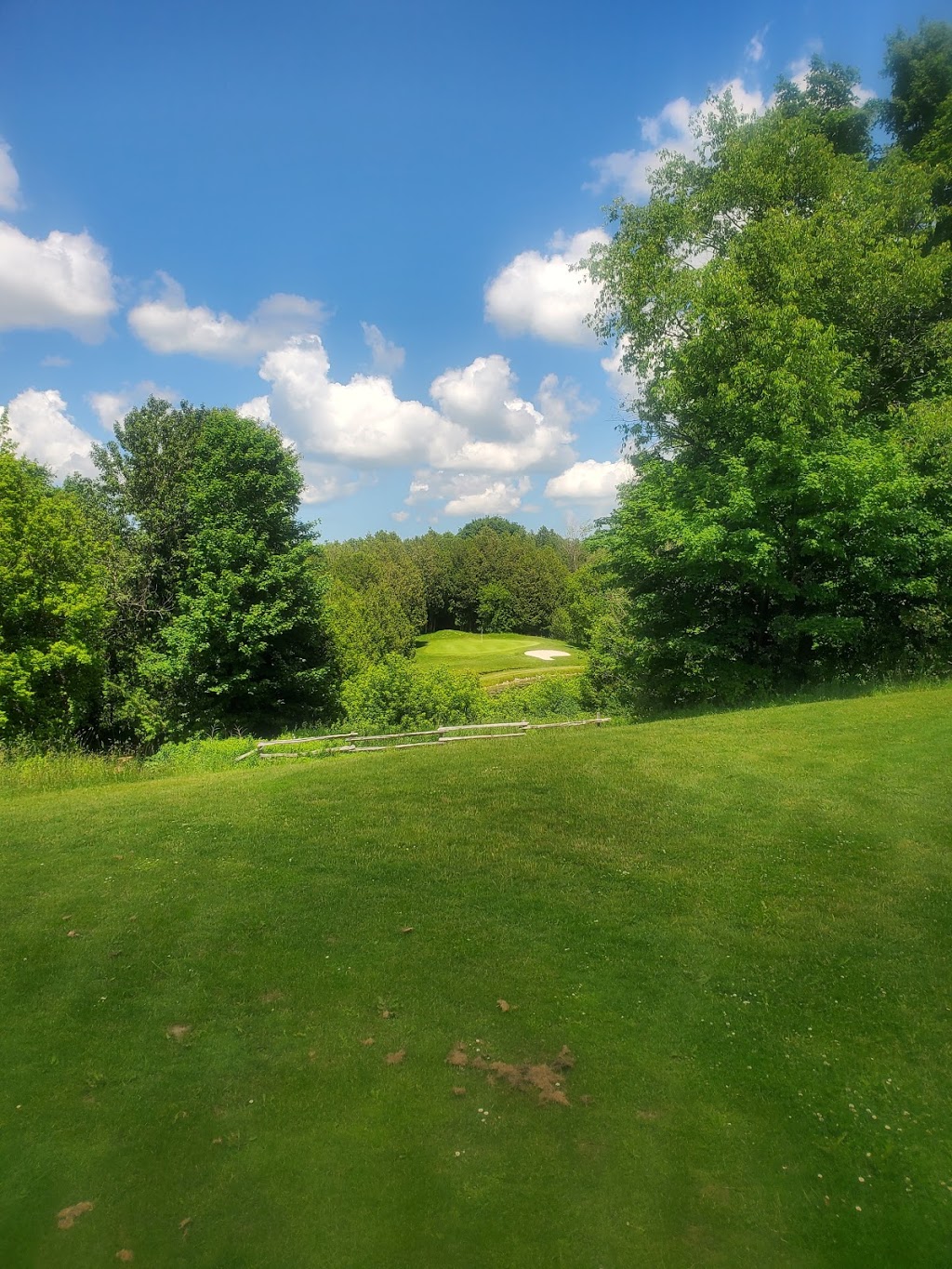 Markdale Golf and Curling Club | 85 Edith Ave, Markdale, ON N0C 1H0, Canada | Phone: (519) 986-2690