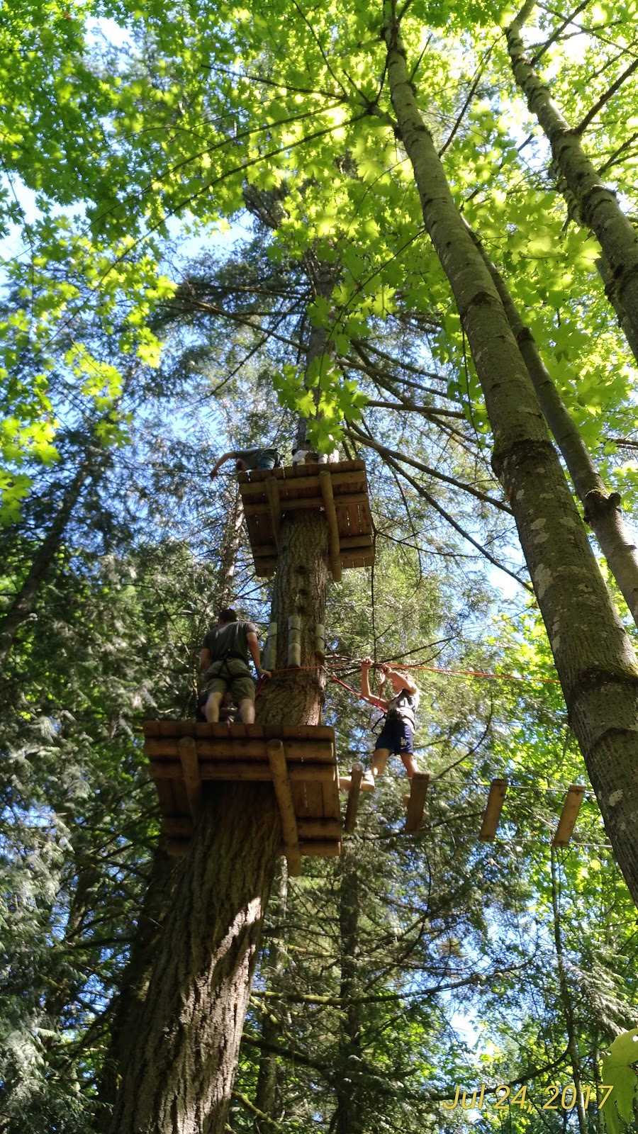 WildPlay Element Parks, Nanaimo | 35 Nanaimo River Rd, Nanaimo, BC V9X 1S5, Canada | Phone: (855) 595-2251