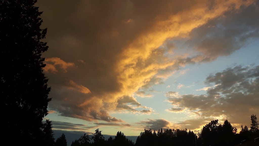 Laurel Farm & Western Supply | 325 W Laurel Rd, Bellingham, WA 98226, USA | Phone: (360) 398-1216
