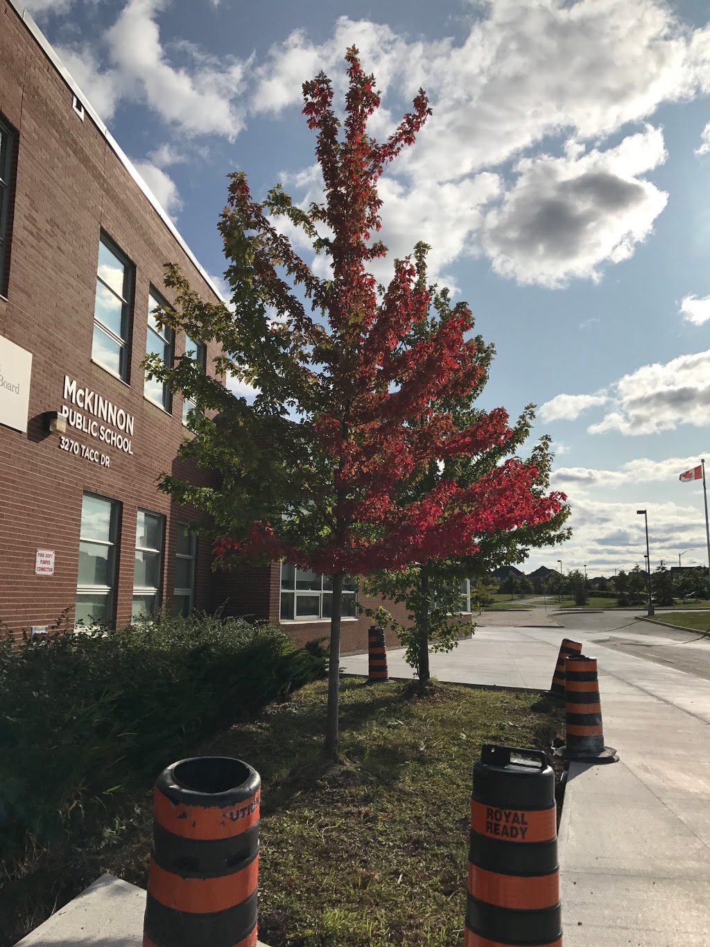 McKinnon Public School | 3270 Tacc Dr, Mississauga, ON L5M 0H3, Canada | Phone: (905) 812-2544