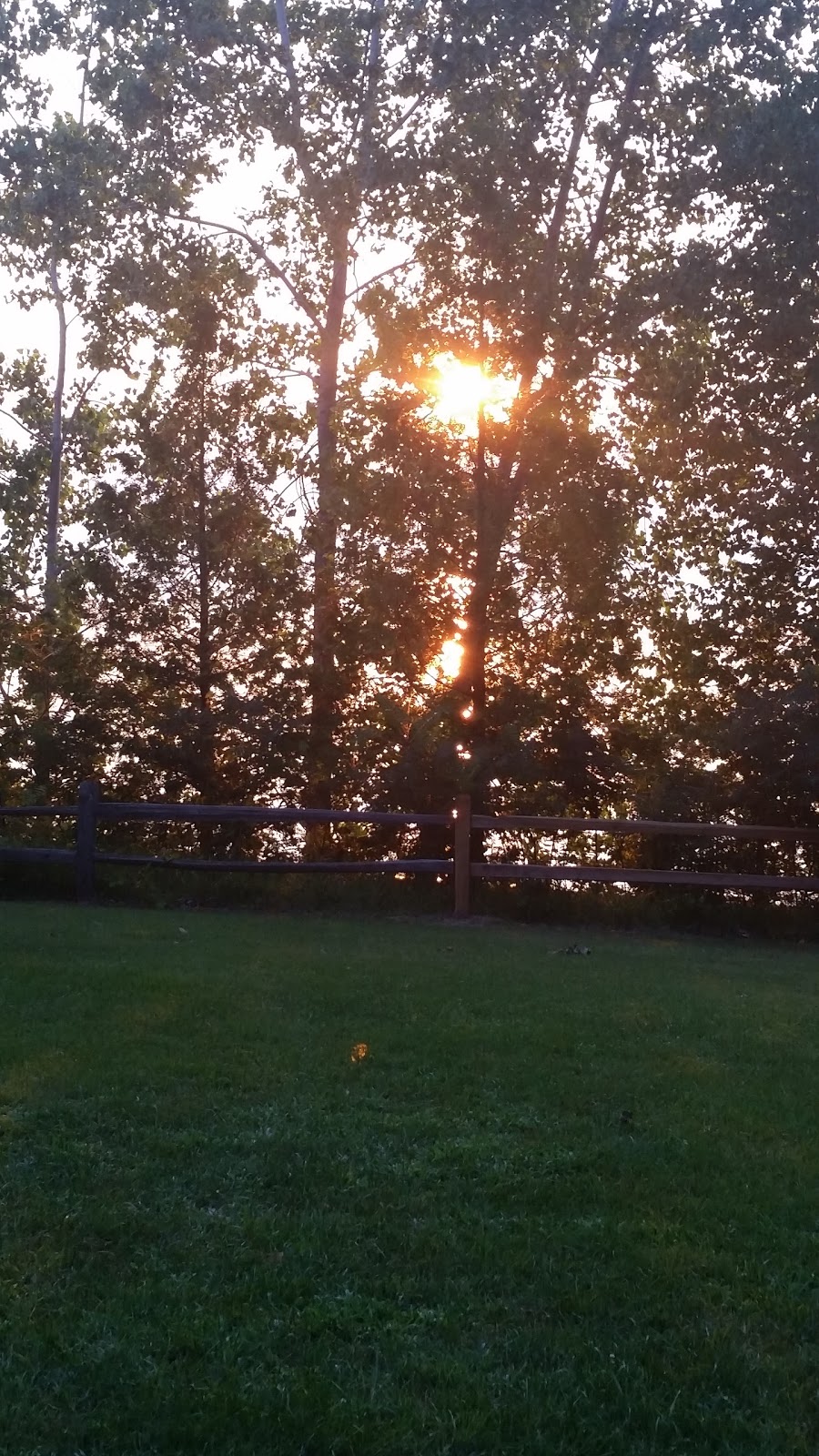 Sanilac County Lexington Park | 3885 Lakeshore Rd, Lexington, MI 48450, USA | Phone: (810) 359-7473