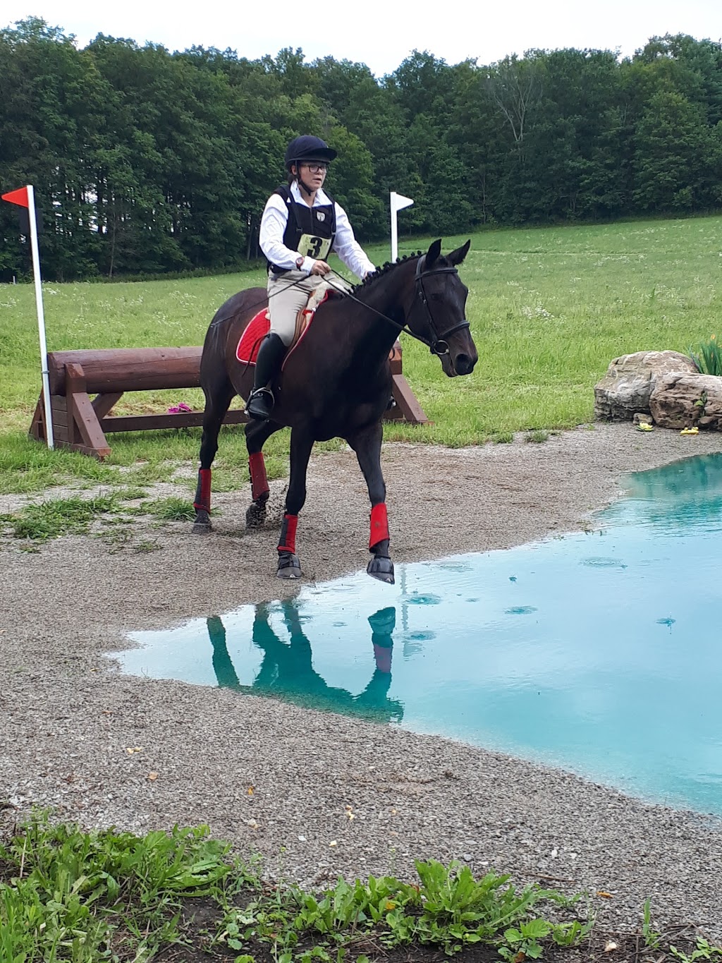 Cherrylane Equestrian Centre Inc | 4145 ON-6, Puslinch, ON N0B 2J0, Canada | Phone: (519) 767-6067