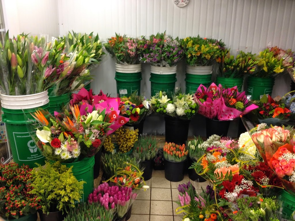 Bobs Garden Centre | 959 Mt Pleasant Rd, Toronto, ON M4P 2L8, Canada | Phone: (416) 482-0373