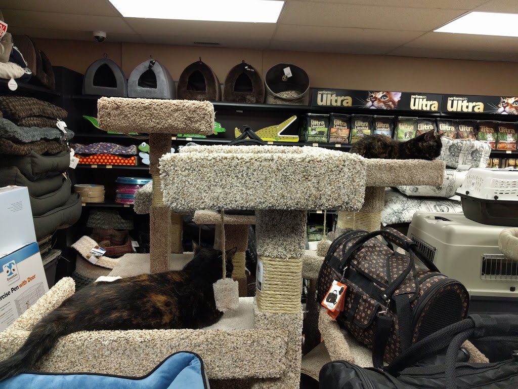Pet Valu | NORTHDALE SHOPPING CENTRE, 963 Henderson Hwy, Winnipeg, MB R2K 2M3, Canada | Phone: (204) 339-9332