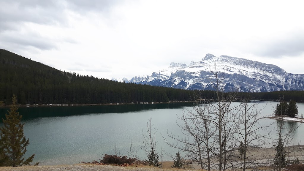 Banff Off-Leash Dog Park | Hawk Ave, Banff, AB T1L, Canada | Phone: (403) 762-1240