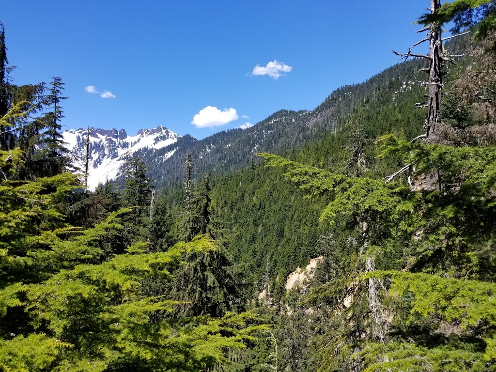 Blue Lake/Dock Butte Trailhead | NF-1230, Concrete, WA 98237, USA | Phone: (425) 783-6000
