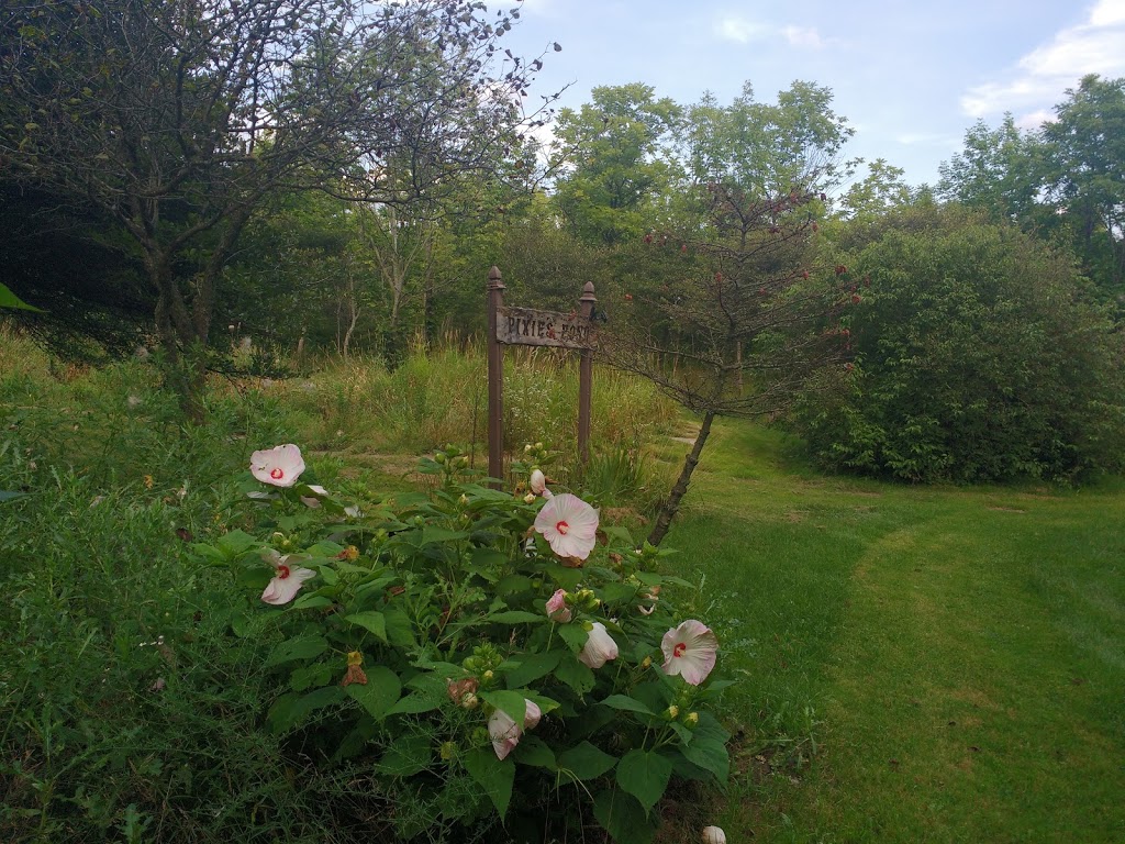Lorne C Henderson Conservation | 3653 Petrolia Line, Petrolia, ON N0N 1R0, Canada | Phone: (519) 882-2280
