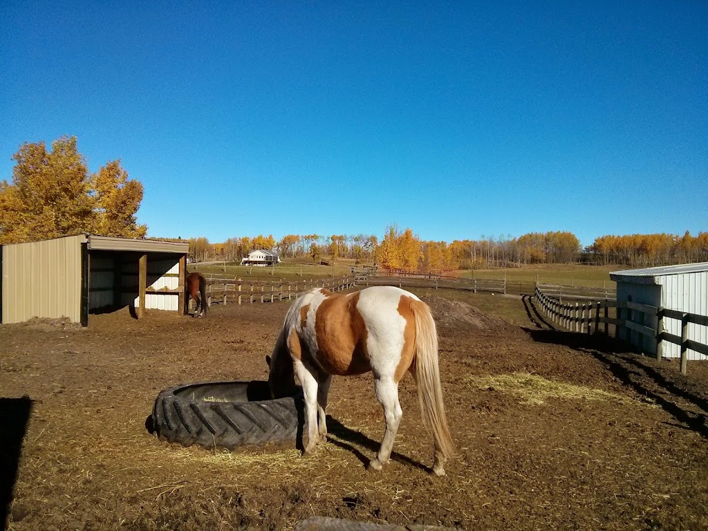 Brayco Stables | 281039, Range Rd 42, AB T4C 3A5, Canada | Phone: (403) 969-7708