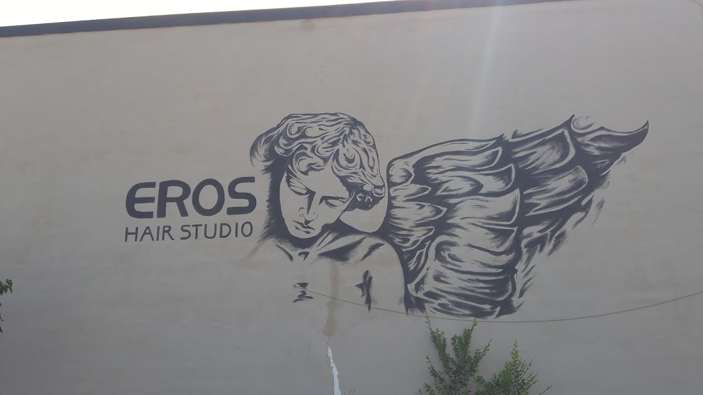 Eros | 30 Macdonell St, Guelph, ON N1H 2Z3, Canada | Phone: (519) 837-3767