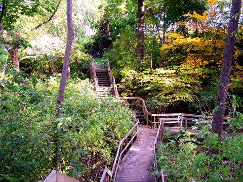 Coxwell Ravine Park | 460 OConnor Dr, East York, ON M4J 2W6, Canada | Phone: (416) 338-4386