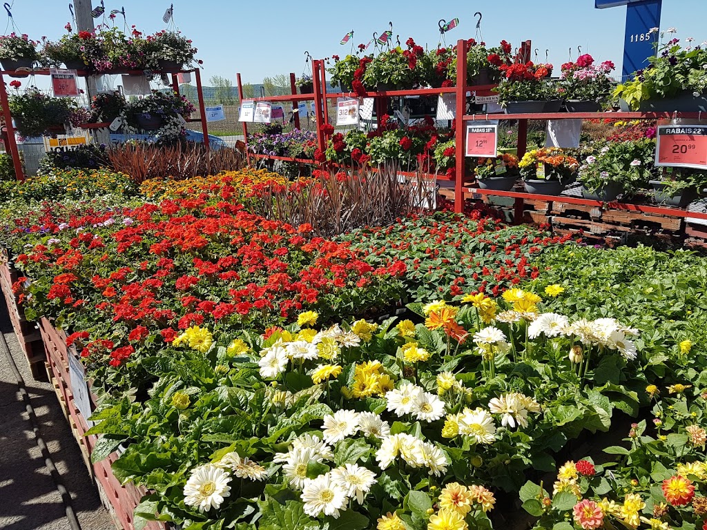 RONA | 1185 Rue Principale, Sainte-Julie, QC J3E 0C3, Canada | Phone: (450) 649-3350