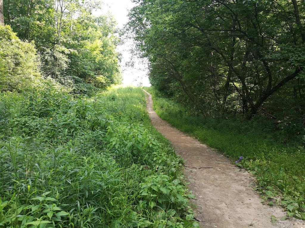 Kains woods environmental area | Unnamed Road, London, ON N6K 0A4, Canada