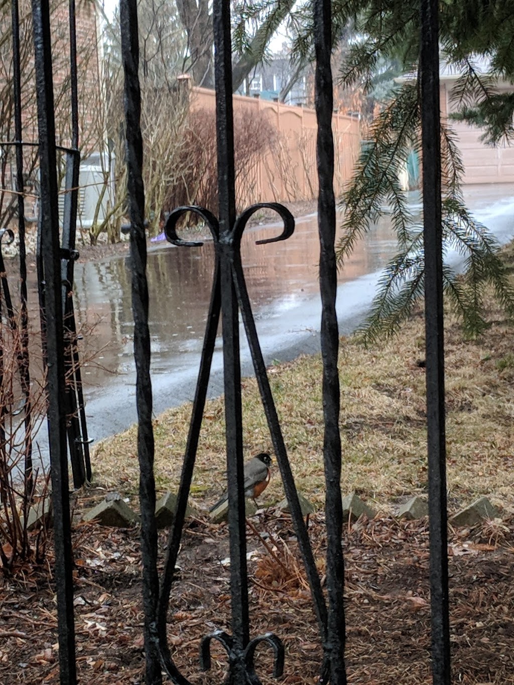 Connaught Circle Parkette | 15 Connaught Cir, York, ON M6C 2S9, Canada | Phone: (416) 338-4386