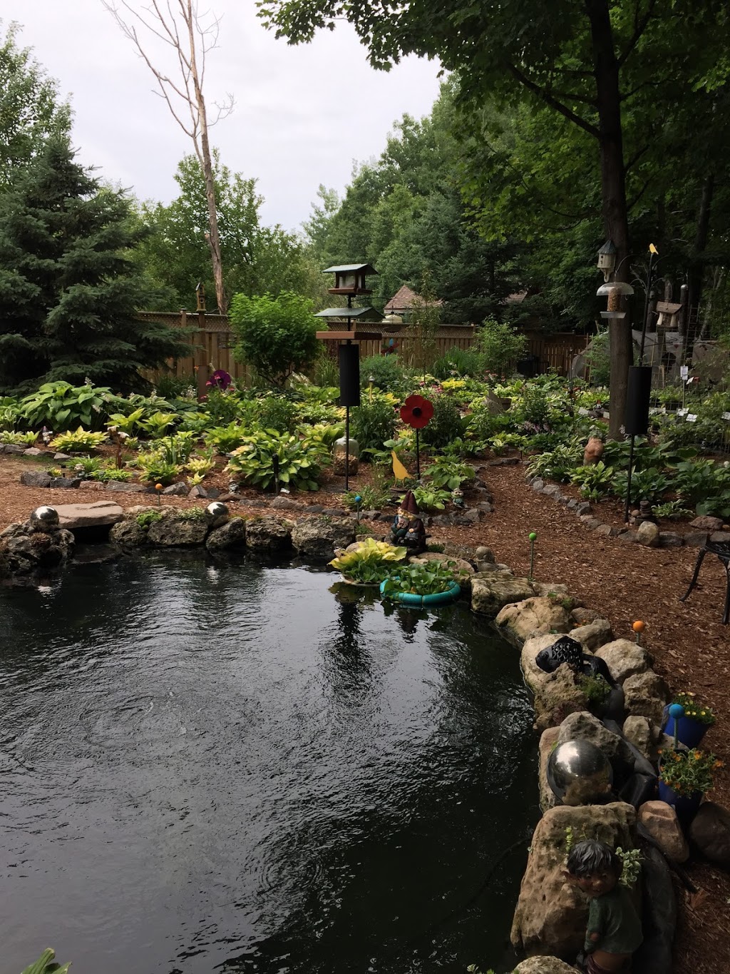 Hosta Fever | 38 Summerset Dr, Barrie, ON L4N 9L7, Canada | Phone: (705) 725-5771