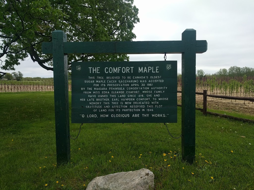 Comfort Maple Conservation Area | 640 Metler Rd, Fenwick, ON L0S 1C0, Canada | Phone: (905) 788-3135