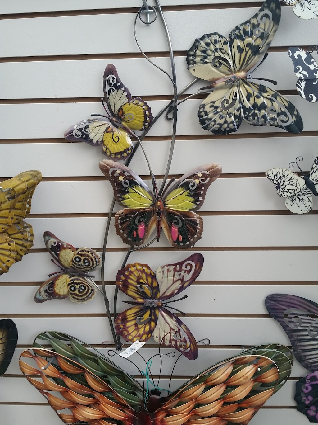 Sunset Nursery Garden Centre & Greenhouses | 2177 Greenwood Rd, Pembroke, ON K8A 6W2, Canada | Phone: (613) 638-4107