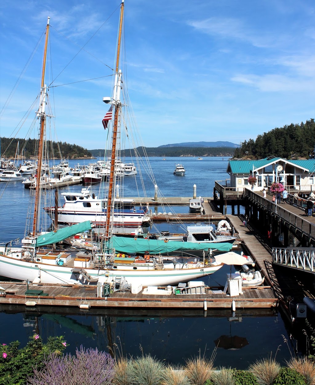 Spring Street Landing | Salish Sea, Friday Harbor, WA 98250, USA | Phone: (425) 277-1590