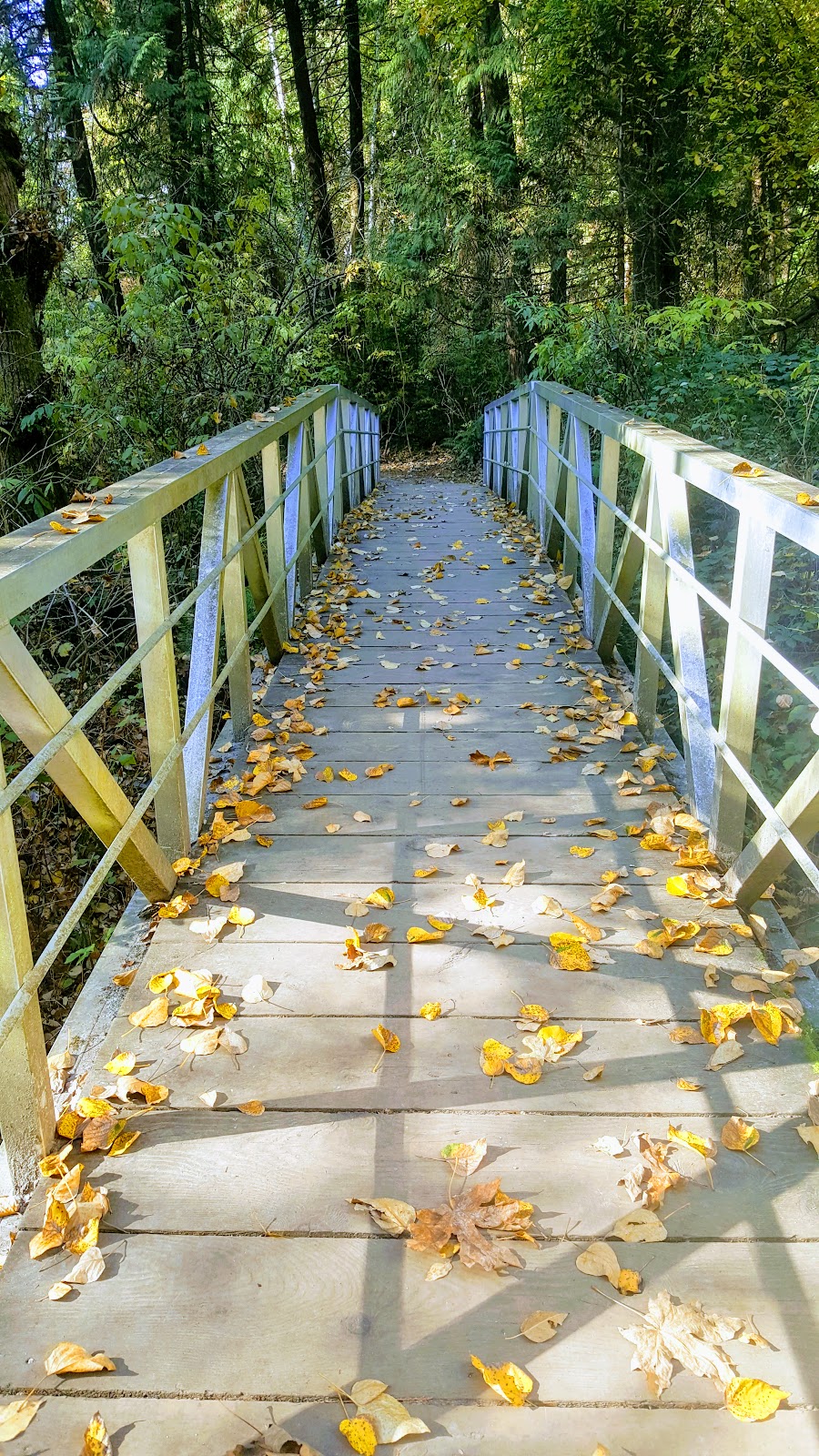 Chelsea Park | 1277 Chelsea Ave, Port Coquitlam, BC V3B 7J9, Canada | Phone: (604) 927-4386