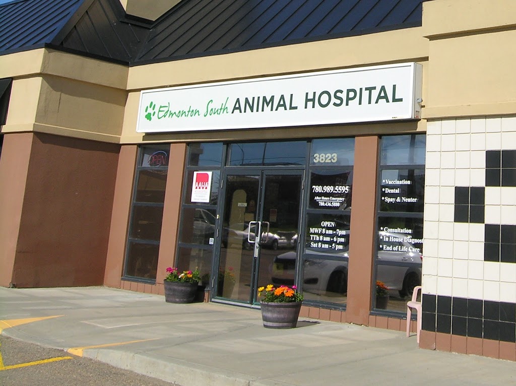 Edmonton South Animal Hospital | 3823 99 St NW, Edmonton, AB T6E 6J1, Canada | Phone: (780) 989-5595
