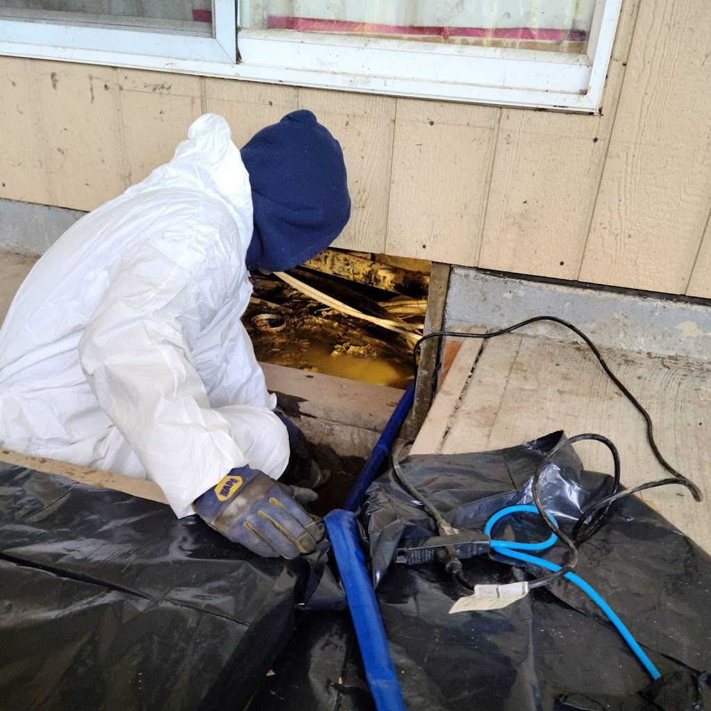 BC Trauma Cleaning Group Ltd. | 221 Blue Mountain St #101, Coquitlam, BC V3K 4H3, Canada | Phone: (855) 824-1508