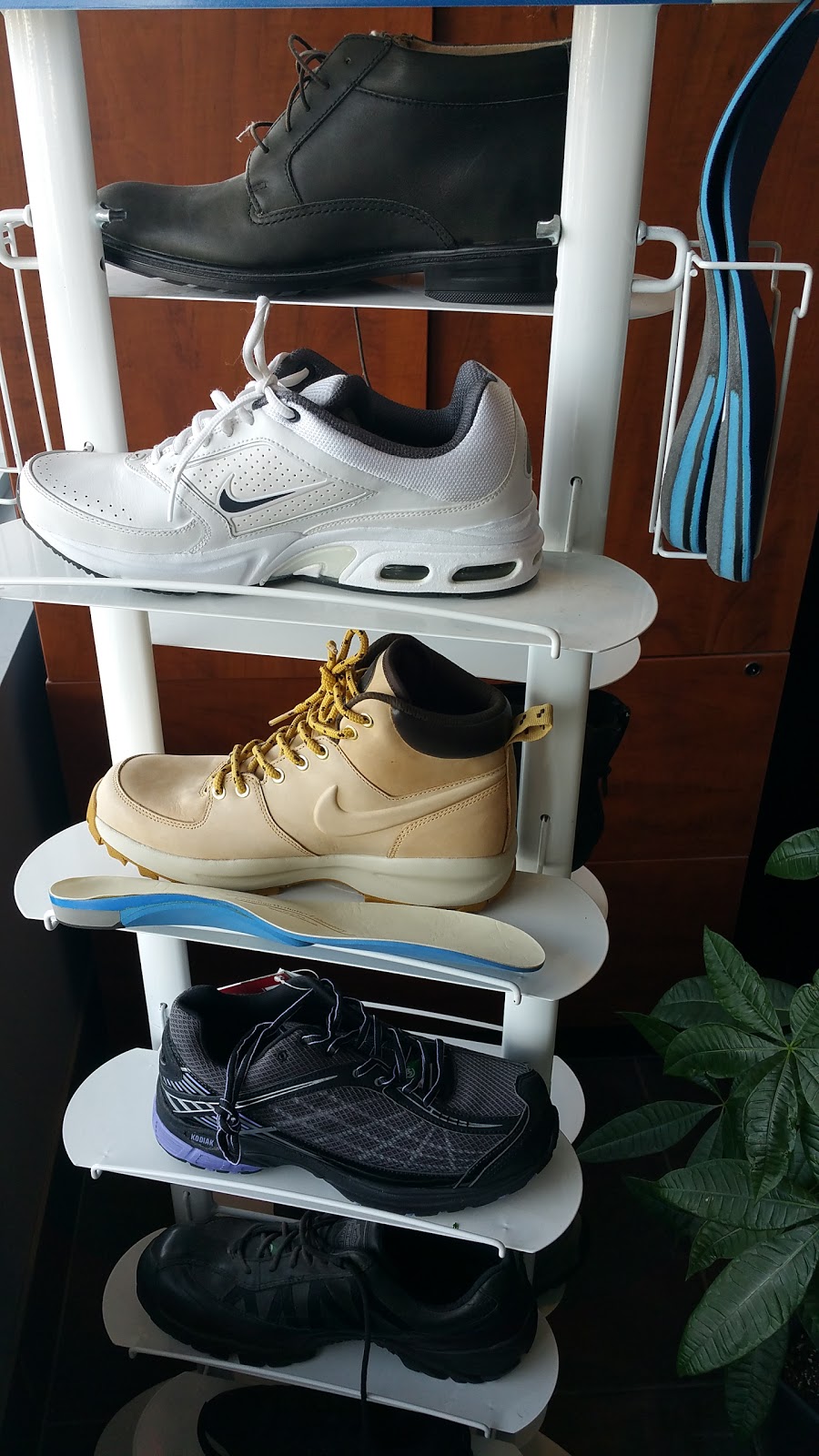 New Motion Physio & Sports Rhb | 2-125 Father Tobin Rd, Brampton, ON L6R 0W9, Canada | Phone: (905) 792-9024