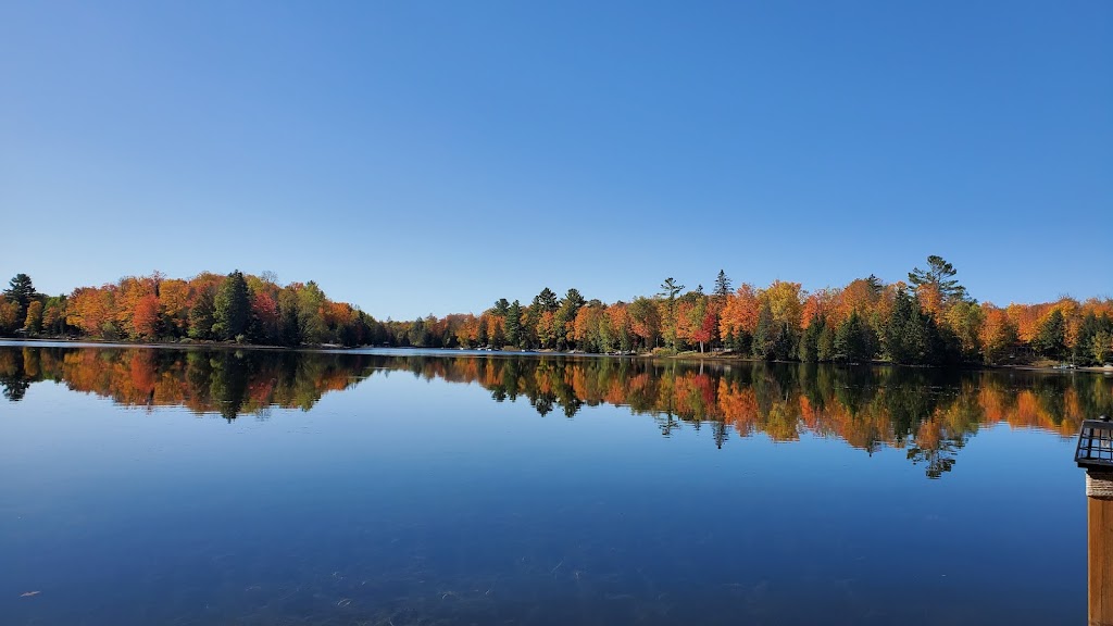 Greens Lake House | 19 Fire Rte 296, Gooderham, ON K0M 1R0, Canada | Phone: (416) 721-5585