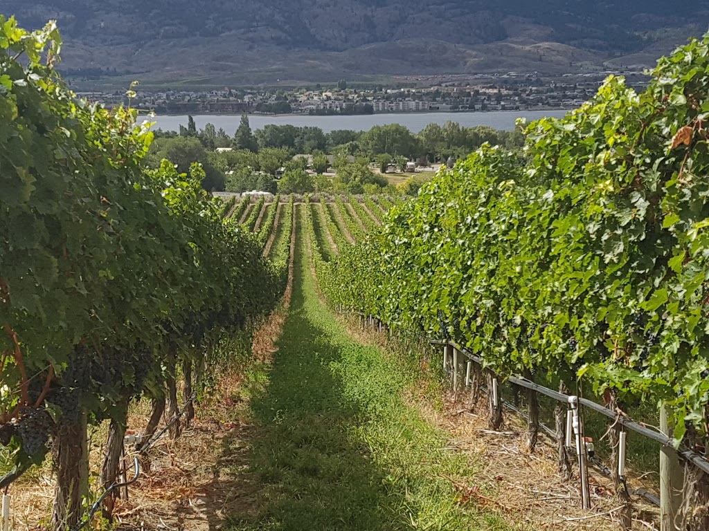 Spirit Beach Watersports | 8000 45 St, Osoyoos, BC V0H 1V6, Canada | Phone: (250) 486-5770