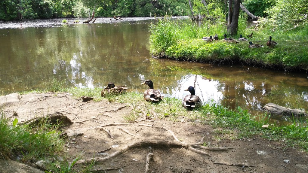 Parc des Prairies | 5 Avenue du Crochet, Laval, QC H7N 2T8, Canada | Phone: (450) 662-4902