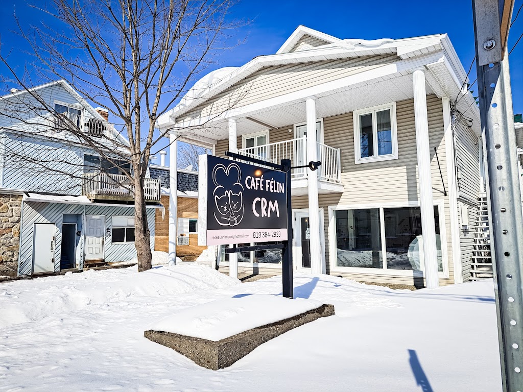 Café félin CRM | 1662 Av. Saint-Louis, Plessisville, QC G6L 2M9, Canada | Phone: (819) 384-2933