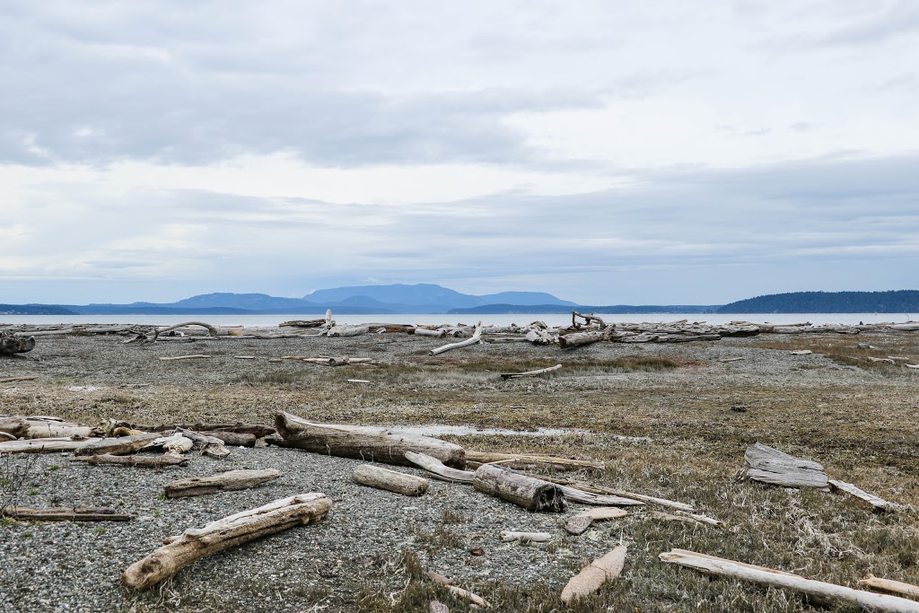 Jakles Beach Lagoon | Salish Sea, Friday Harbor, WA 98250, USA