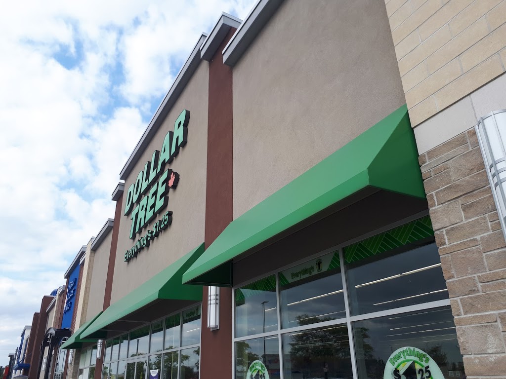 Dollar Tree | home goods store | 5-655 Sydney Ave, Windsor, ON N8X 5C4, Canada | 5199725201 OR +1 519-972-5201