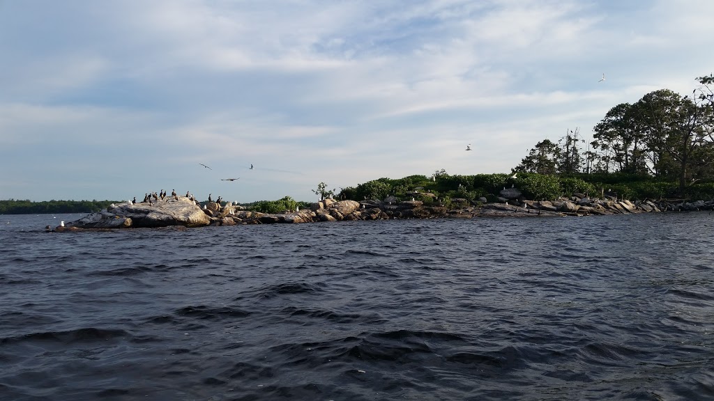 Eleanor Island Bird Sanctuary | Torrance, ON P0C 1M0, Canada
