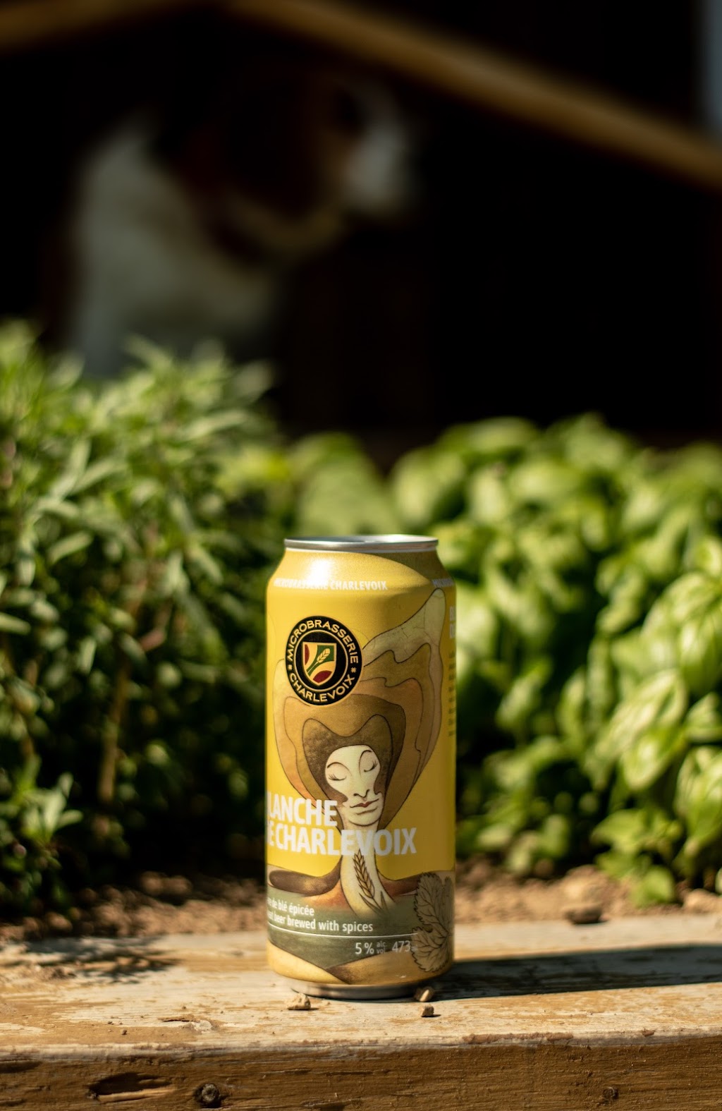 MicroBrasserie Charlevoix (Usine & Boutique) | 6 Paul-René Tremblay, Baie-Saint-Paul, QC G3Z 3E4, Canada | Phone: (418) 435-3877
