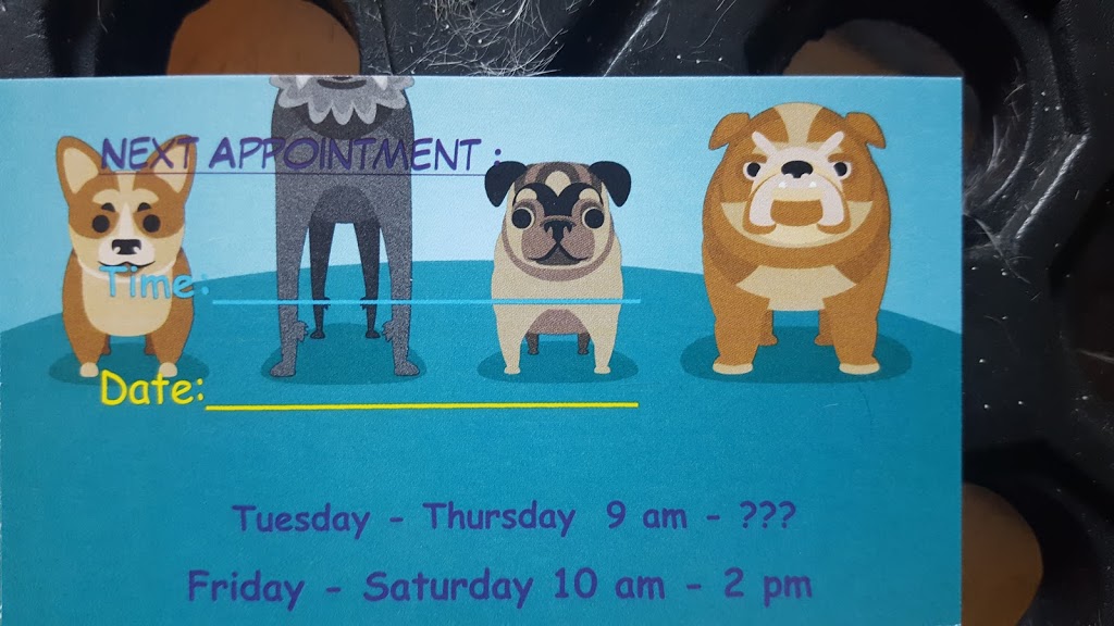 Perfect Pooch Pet Grooming | 9192 Talbot St W, Blenheim, ON N0P 1A0, Canada | Phone: (519) 437-2538