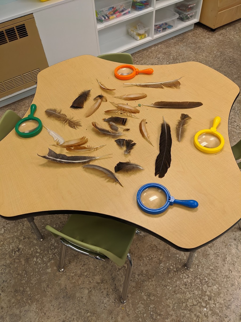 Fernie Forest School Society Preschool | 44 Mt Washburn St, Fernie, BC V0B 1M3, Canada | Phone: (250) 423-0407