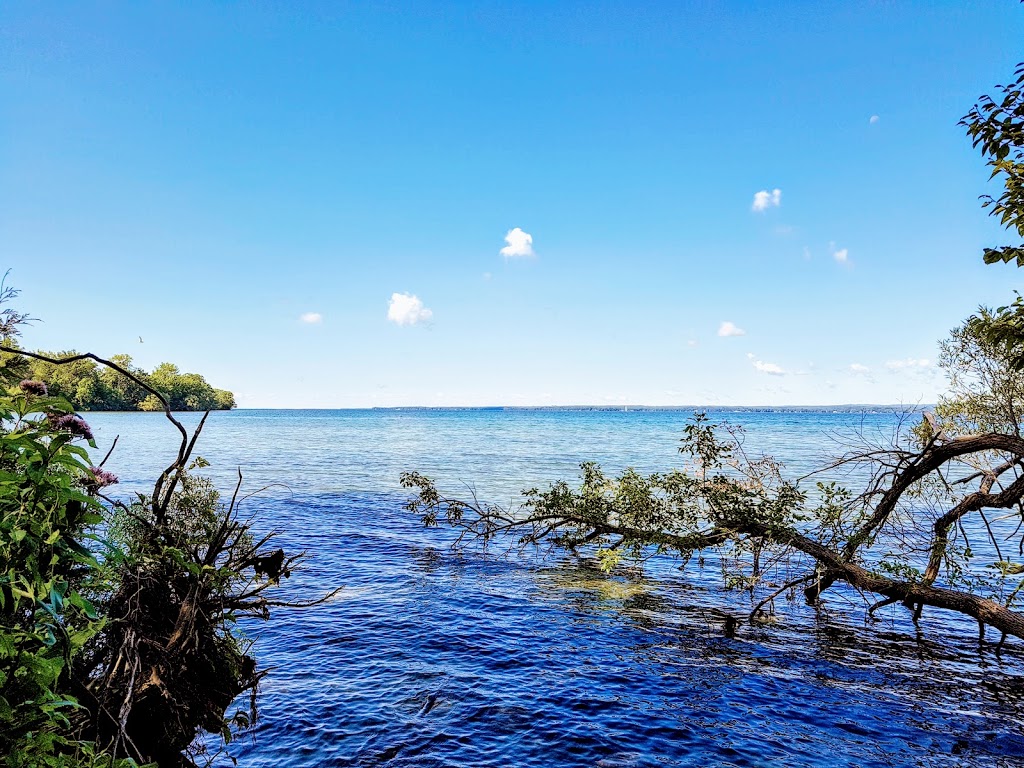 McRae Point Provincial Park | 4366 McRae Park Rd, Longford Mills, ON L0K 1L0, Canada | Phone: (705) 325-7290
