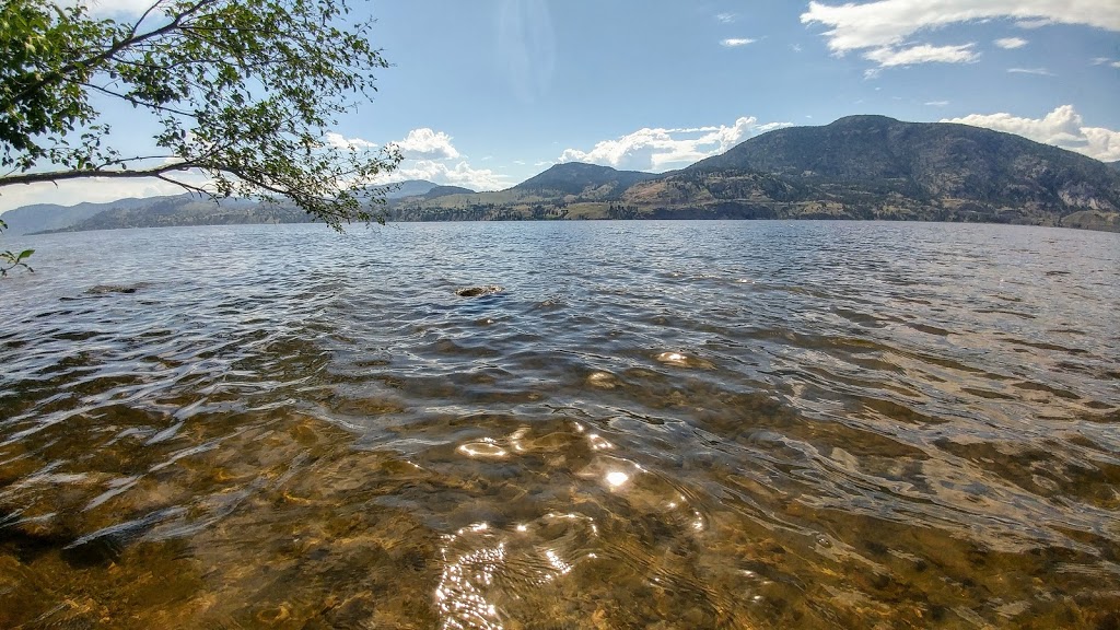 Dog Park beach | 4850-4900 Lakeside Rd, Penticton, BC V2A 8W6, Canada