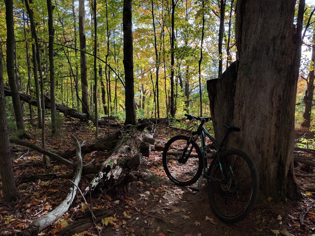 Hardwood Ski and Bike | 402 Old Barrie Rd W, Oro Station, ON L0L 2E0, Canada | Phone: (705) 487-3775