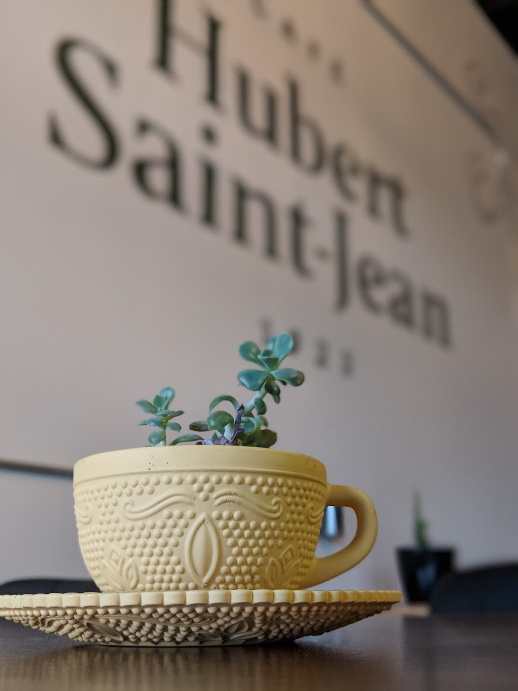 Hubert St-Jean | 4797 Boul Bourque, Sherbrooke, QC J1N 2G8, Canada | Phone: (819) 348-2233