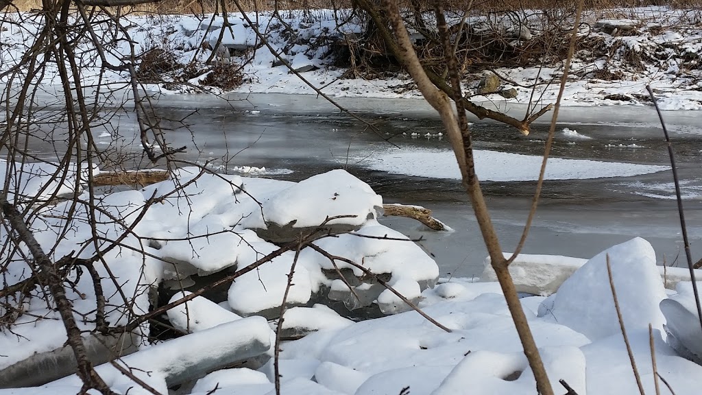 Bechtel Park | 185 Bridge St W, Waterloo, ON N2K 1K9, Canada | Phone: (519) 576-2420