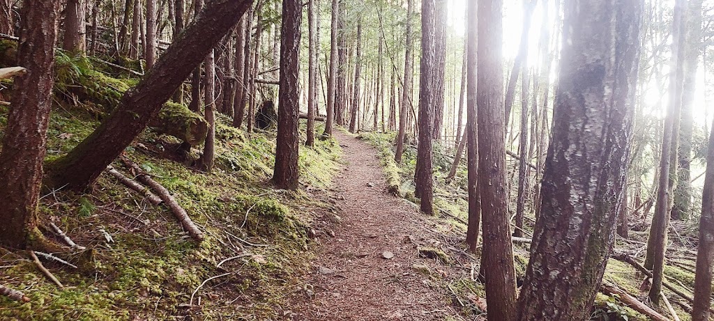 Arrowsmith CPR Regional Trail | Nanaimo, BC V0R 1M0, Canada | Phone: (250) 390-4111