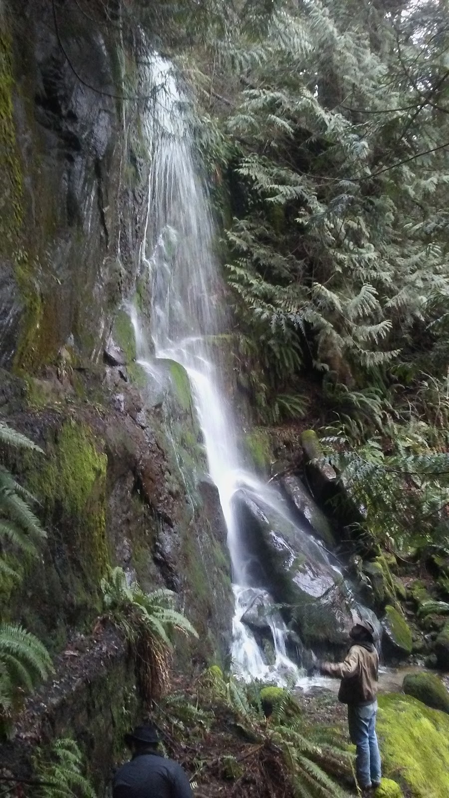 Samish Lake Park | 673 N Lake Samish Dr, Bellingham, WA 98229, USA | Phone: (360) 733-2362