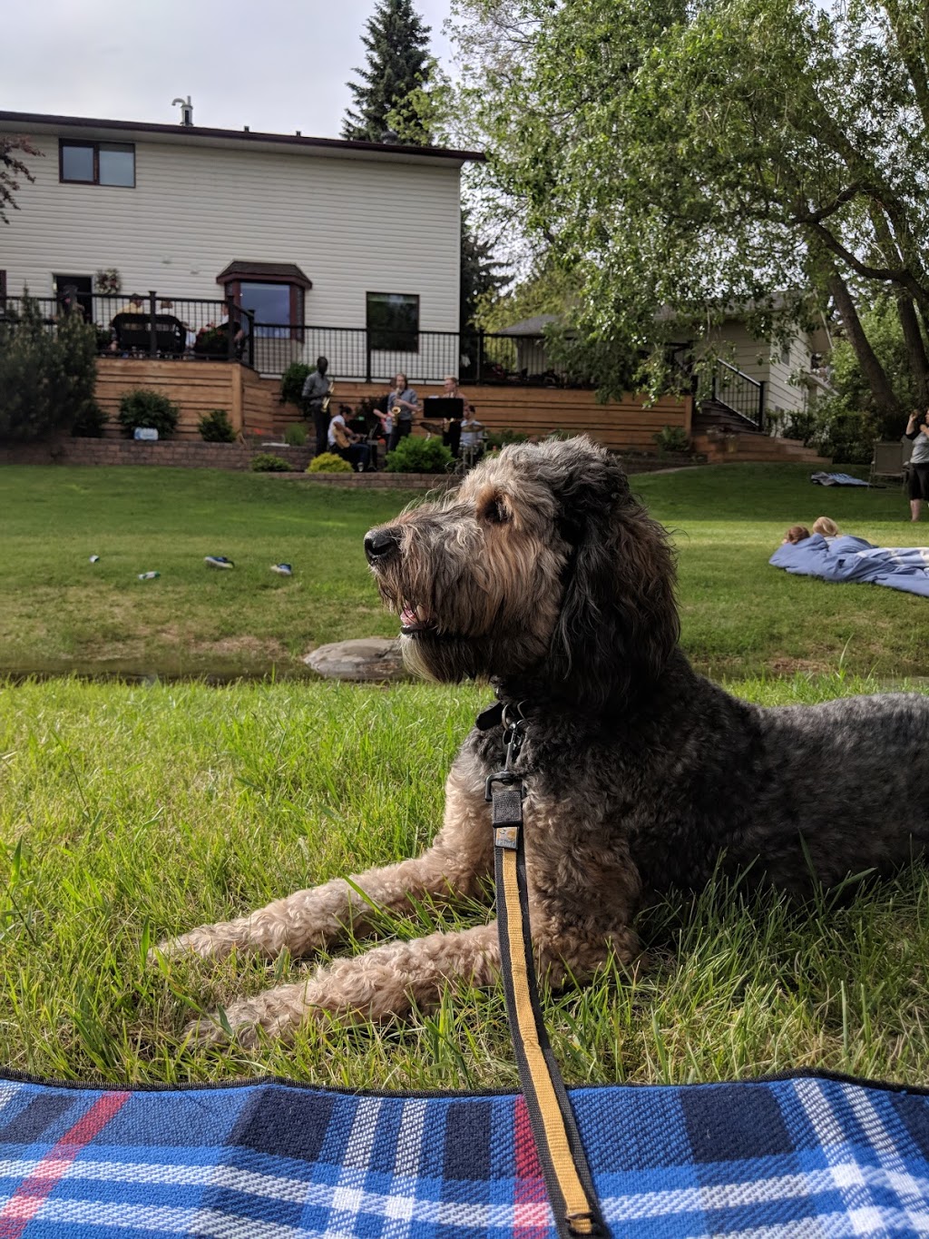 Babbeling Brook Park | 264 Cannington Pl SW, Calgary, AB T2W 1Z8, Canada