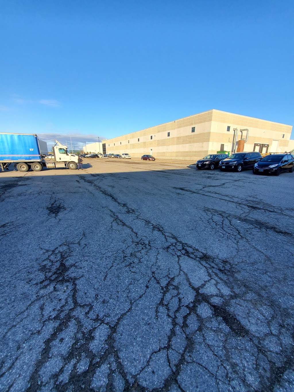 Vic Safety Inc | 377 Vaughan Valley Blvd, Vaughan, ON L4H 3B5, Canada | Phone: (905) 850-0838