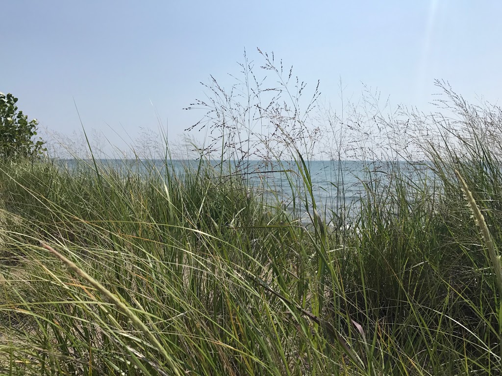 Beach | 425 Lakeshore Ave, Toronto, ON M5J 2W2, Canada