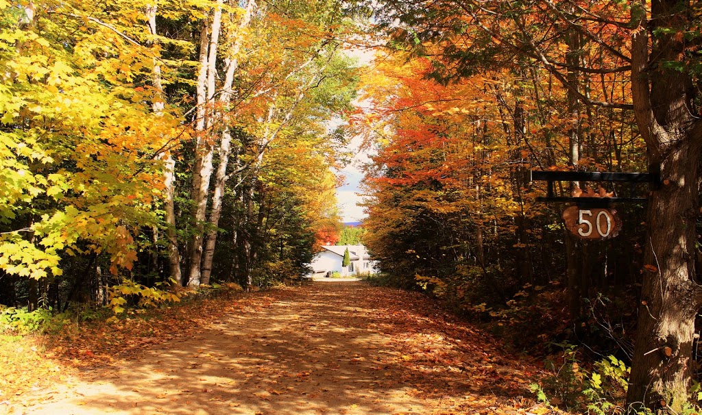 Chalet Riverain CRDS Tremblant | 50 Chemin du Crépuscule, Lac-Supérieur, QC J0T 1J0, Canada | Phone: (514) 567-7037