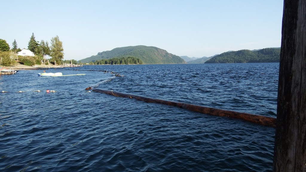 Arbutus Park | Alder Crescent, Youbou, BC V0R 3E1, Canada | Phone: (250) 746-2620
