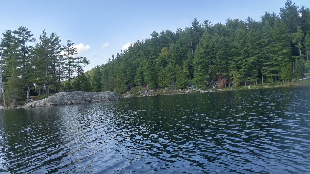 Lac la Pêche | Chemin Sincennes, Pontiac, QC J0X 2W0, Canada